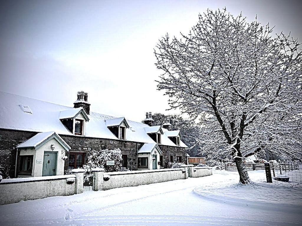 Rosemount Bothy - Highland Cottage Garve Dış mekan fotoğraf